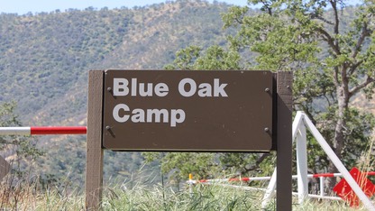 Blue Oak Camp